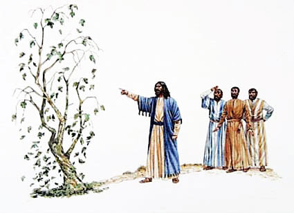 jesus cursing fig tree